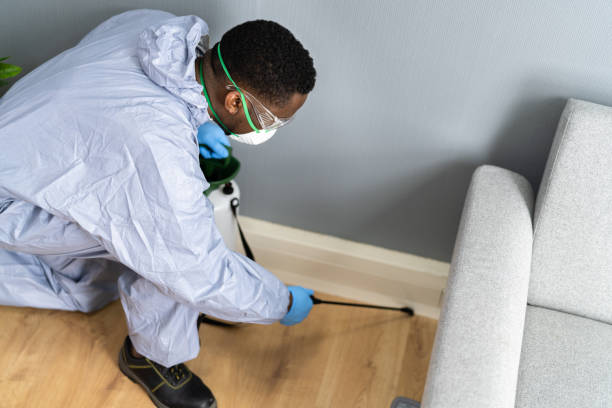 Best Real Estate Pest Inspections  in Lillian, AL